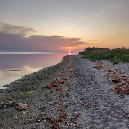 Fuglsanggaard Stalden דירה